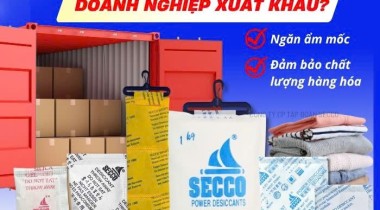Hàng Gỗ Xuất Khẩu Đi Mỹ Cần Dùng Bao Nhiêu Kg Hút Ẩm? Hướng Dẫn Tính Chuẩn Kỹ Thuật